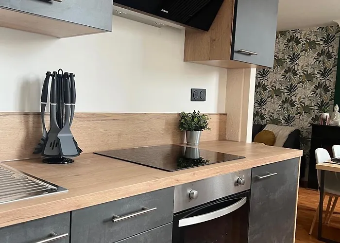 Apartment The Graoully's Den Metz